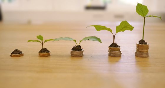 get loans and invest in 2026 - Euro Times