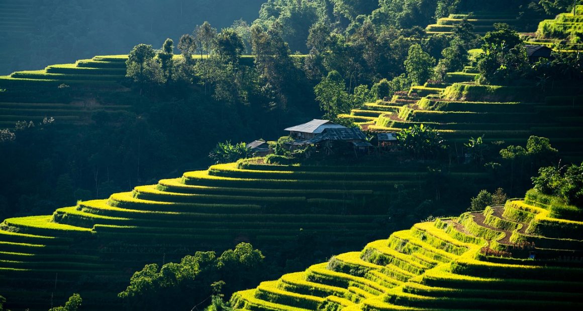 credicards loans in 2026 - Euro Times