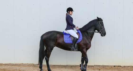 invest crypto in 2026 - Euro Times