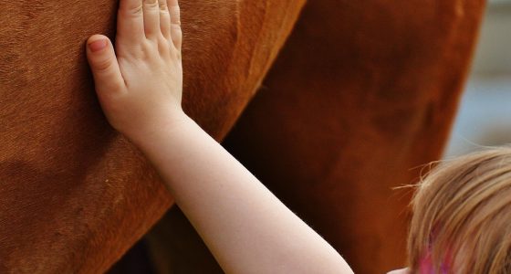 big airdrops for 2026 - Euro Times