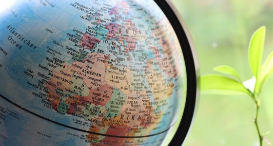 best programming languages to learn in 2026 - Euro Times