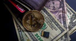 what is cold wallet vs hot wallet 2026 - Euro Times